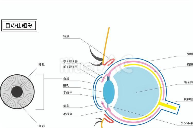 【インスタ画像】 目の下 の たるみ を 取る 方法 ためして ガッテン 話題のSns投稿まとめ 2026 #959