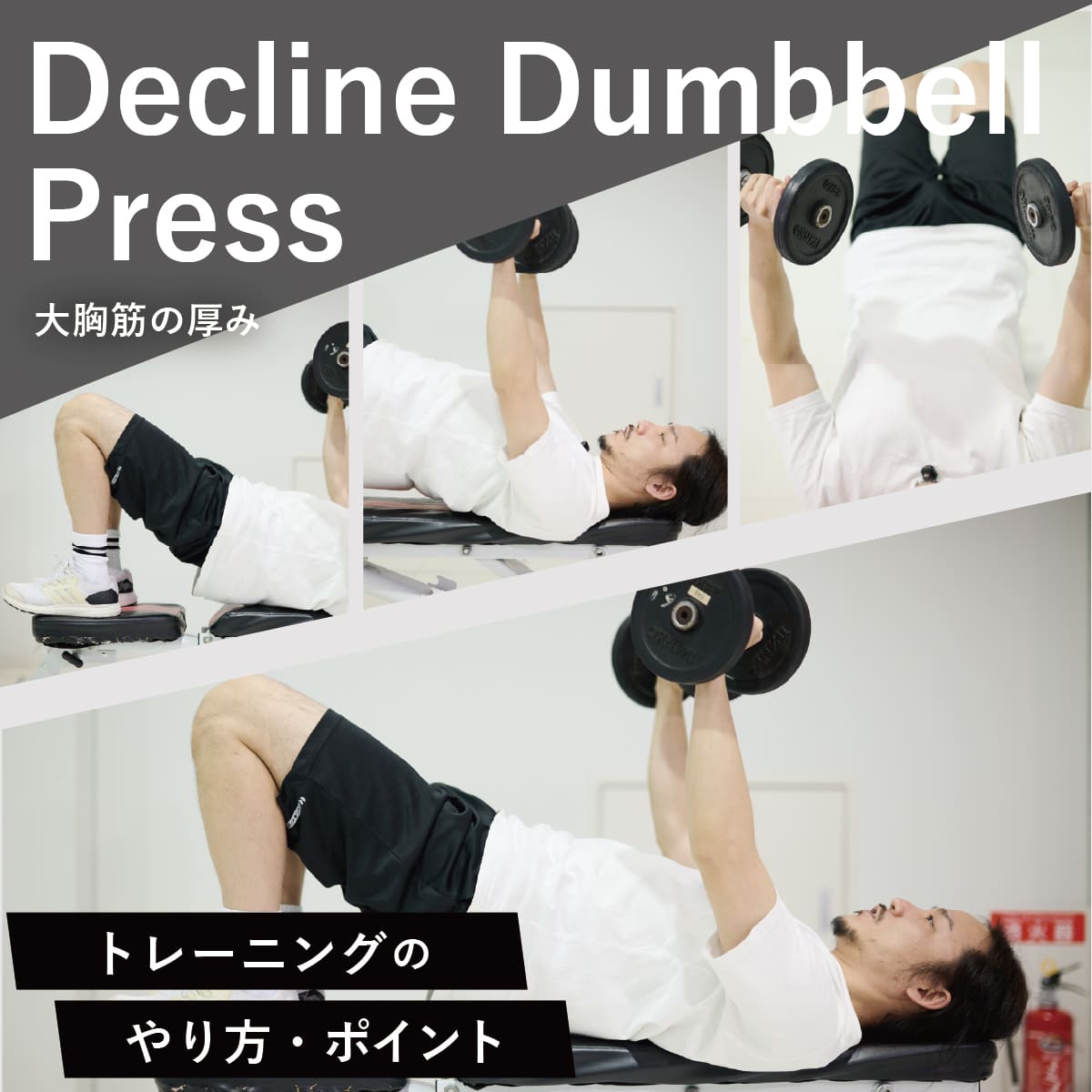 大胸筋下部を際立たせるデクラインダンベルプレスの極意と実践法
