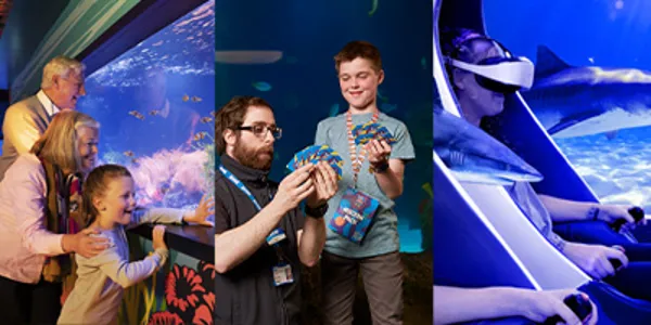 2 for 1 London Aquarium Tickets