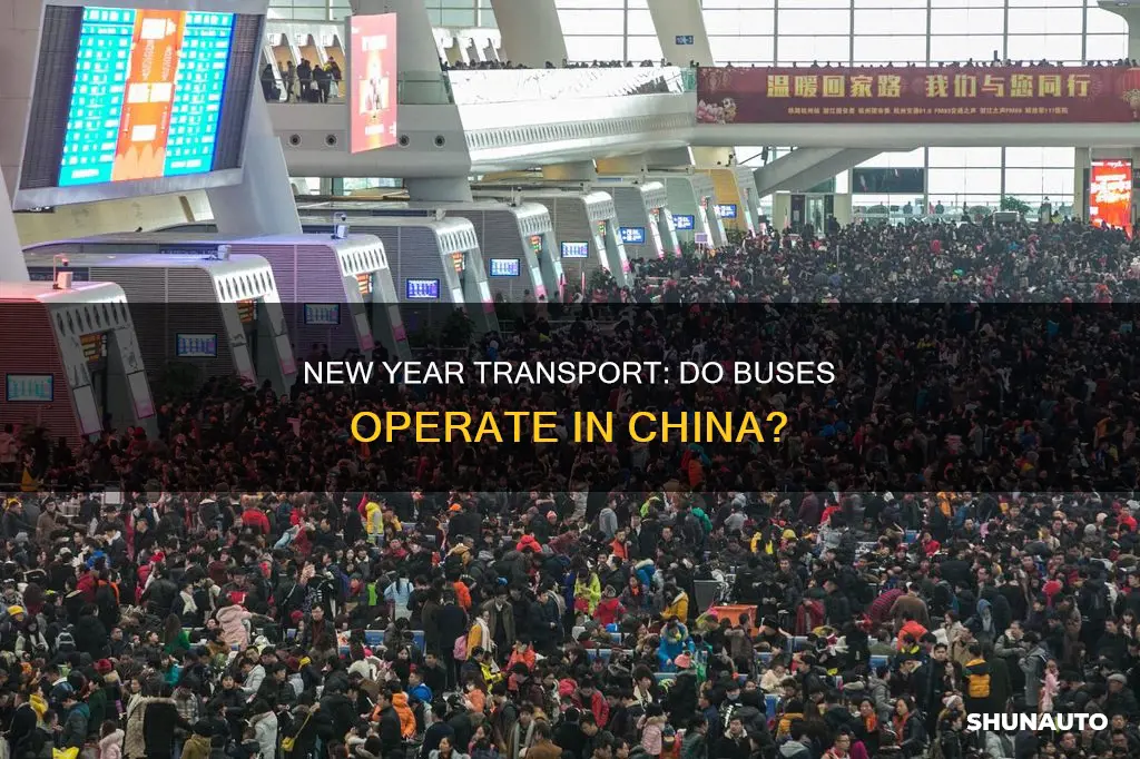 Do Buses Run on New Year