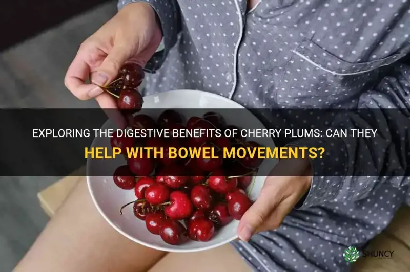 Can Cherries Make Your Poop Black