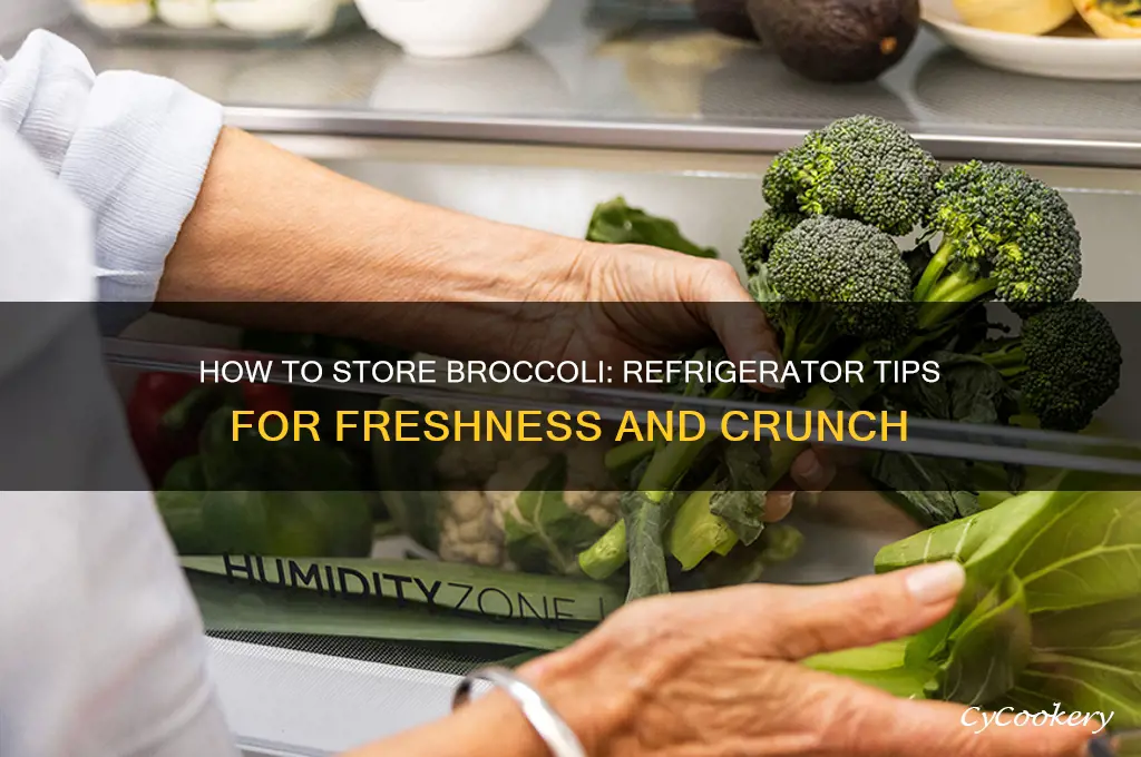 Best Way to Store Broccoli in the Fridge