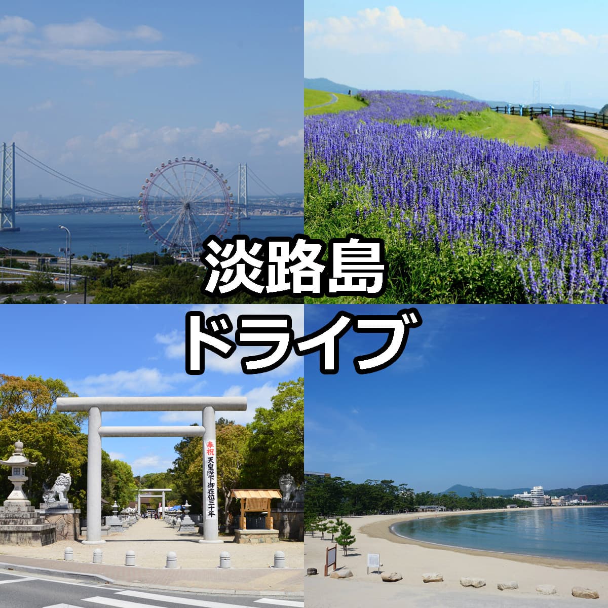 淡路島のたこせんべい徹底解剖！人気爆発の理由とおすすめ完全ガイド