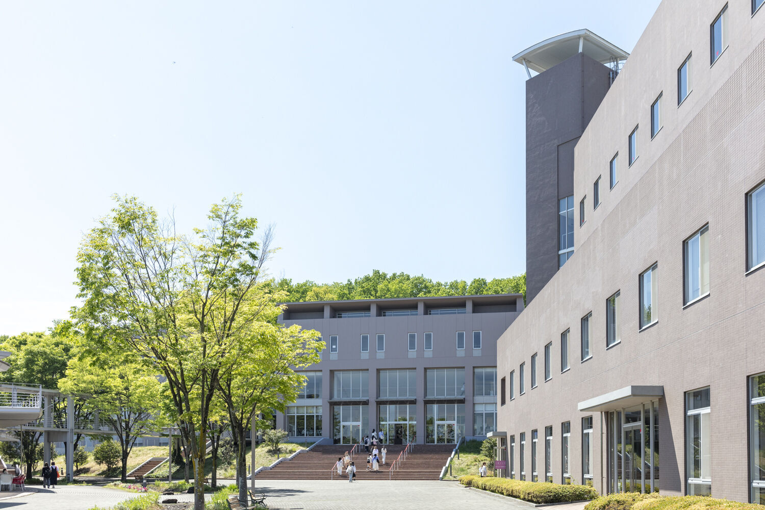 埼玉女子短期大学の評判はなぜ高い？就職と学費の真実【2026最新】