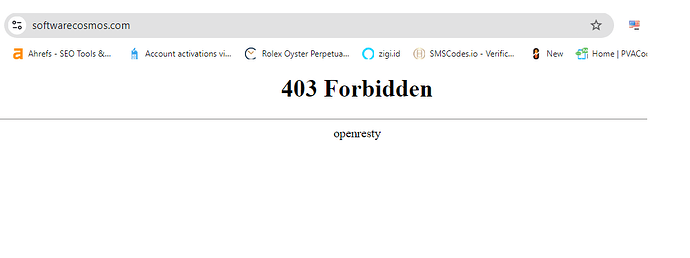 403 Forbidden Openresty