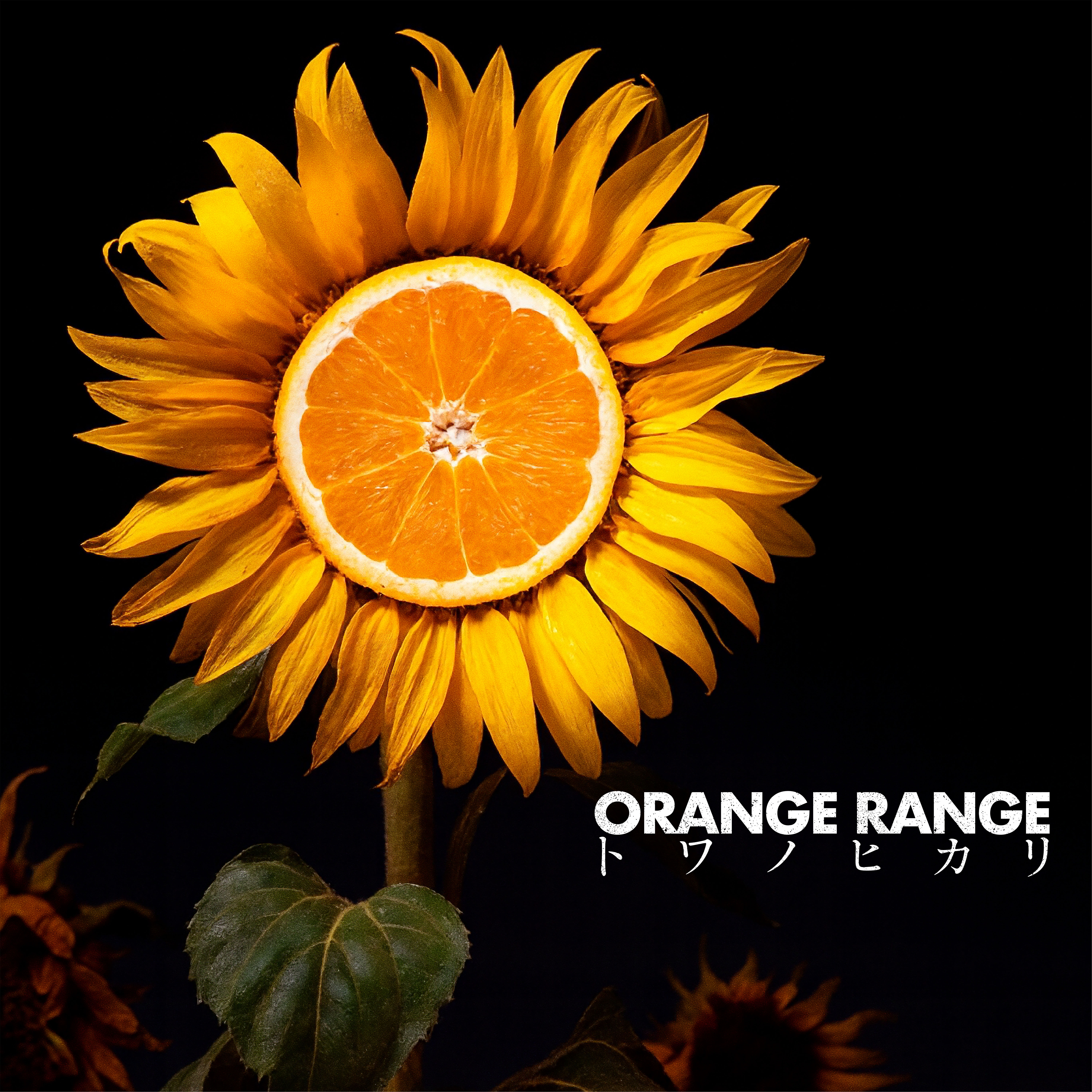 Orange Range『花』が起こした奇跡｜誕生秘話と歌詞の真実