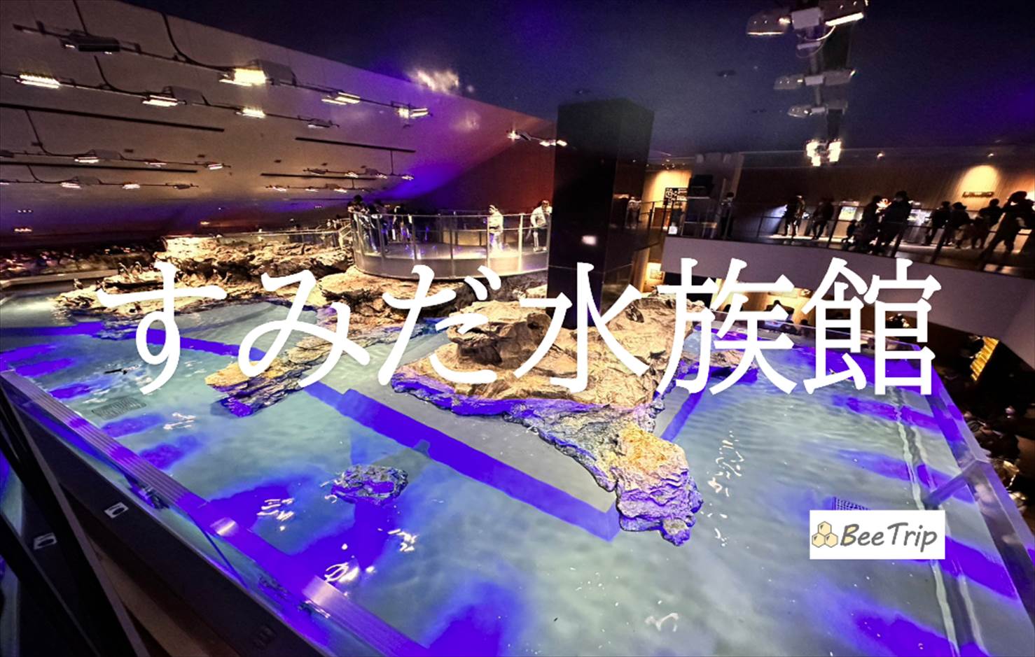 すみだ水族館の所要時間は？デート・子連れ別の目安と混雑回避術