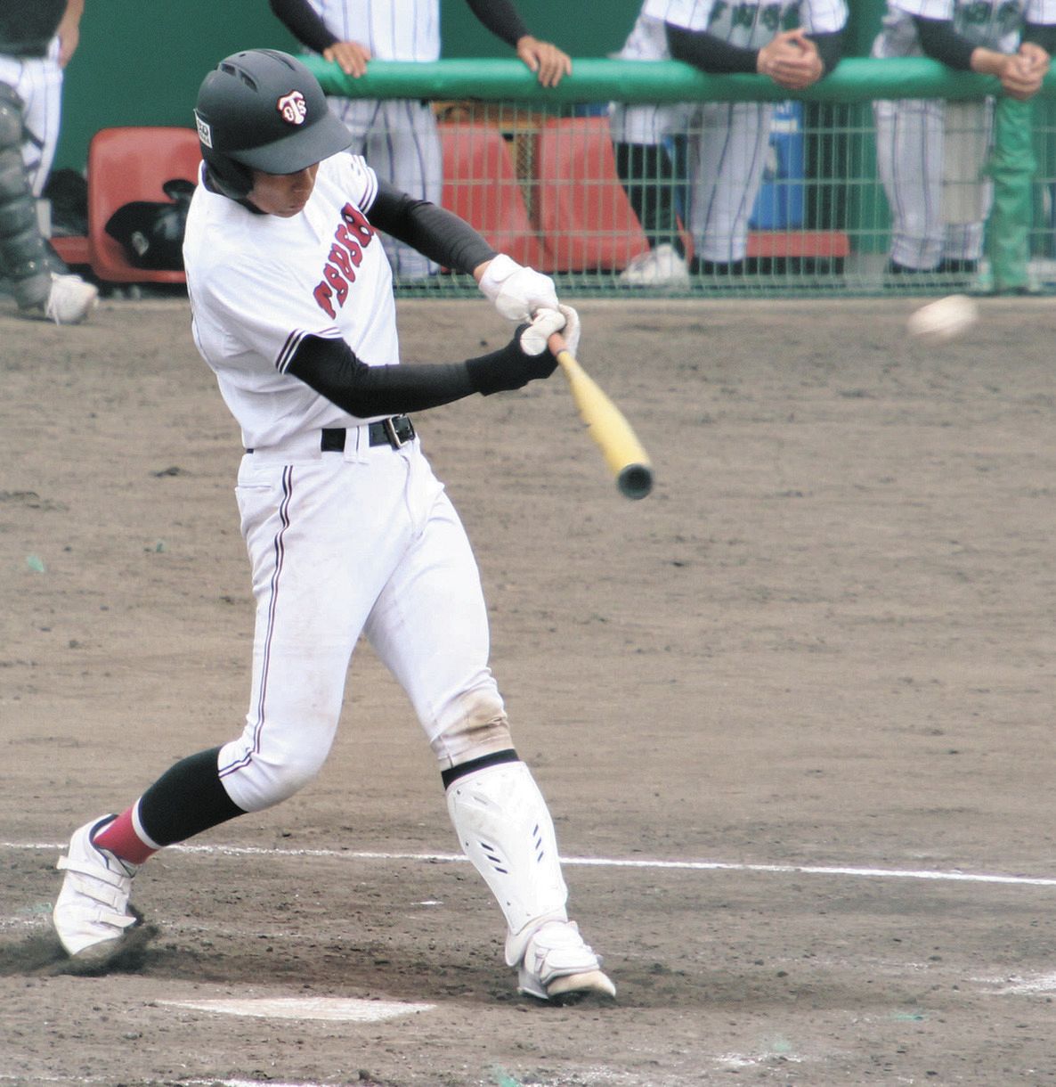 津商業高校野球部の強さに迫る！甲子園の歴史と2026年最新メンバー