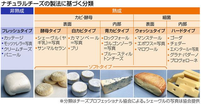 2026年新大久保の熱狂現場：なぜ「チーズマニマニ」は若者とグルメ通の心を掴んで離さないのか？