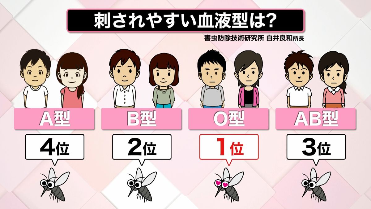 O型は本当に蚊に刺されやすい？血液型と蚊の嗜好性を検証する2026年最新版