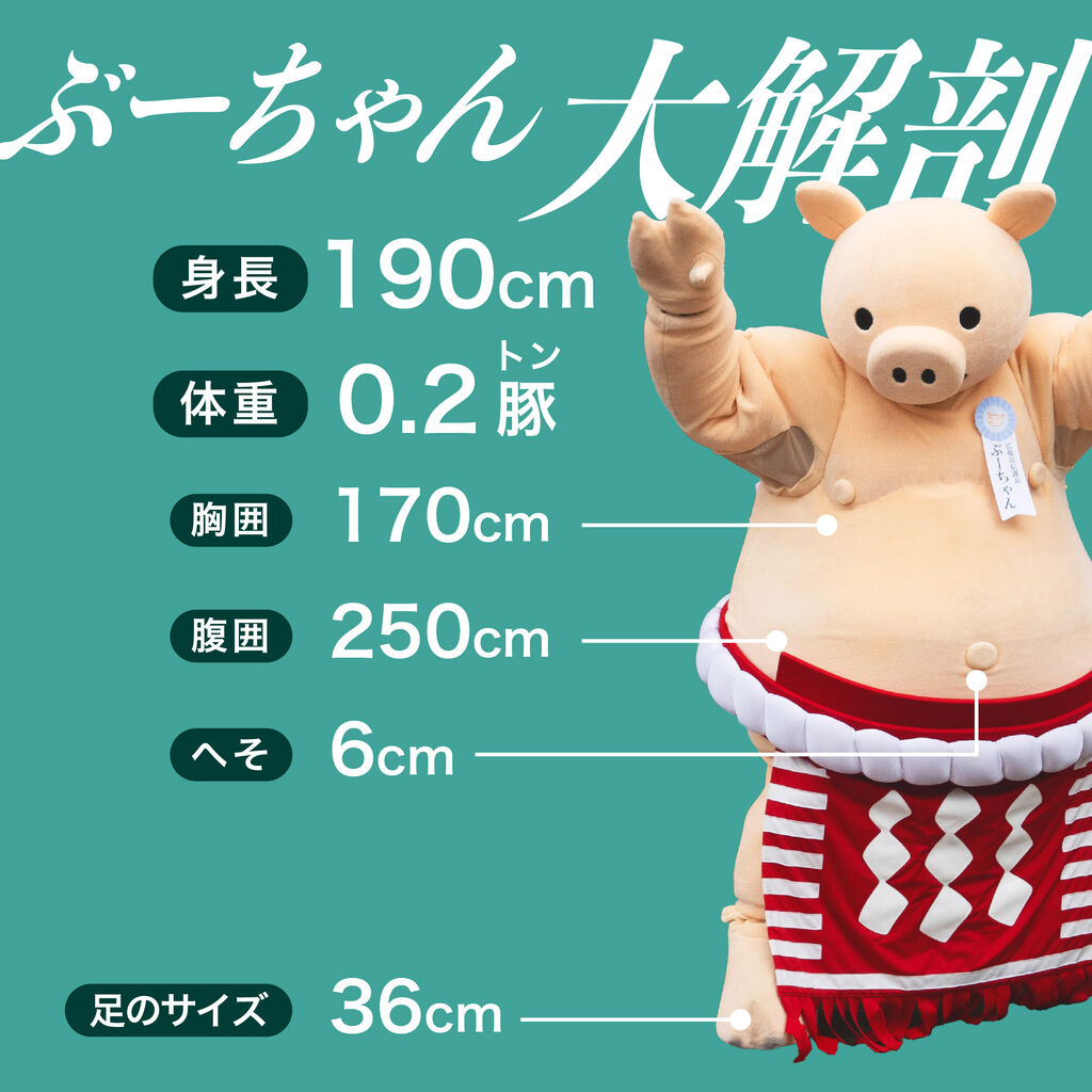 話題の「ぶーちゃん」とは誰？愛称の由来と正体・2026年最新動向を徹底解説