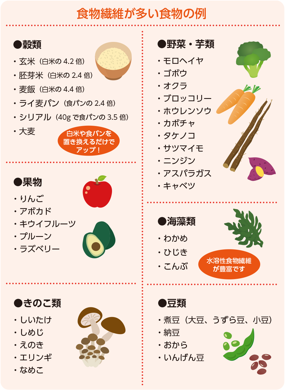 実はサラダじゃ足りない？食物繊維の多い食品と腸活の黄金比を徹底解説