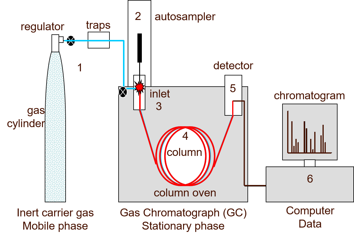 How Does the Gc Work in Forensic Toxicology