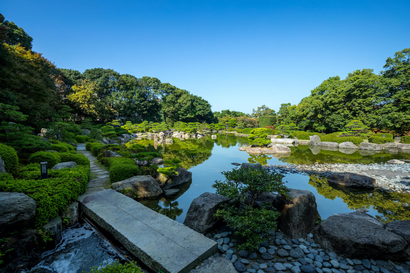 大濠公園日本庭園の秘密と見どころ完全ガイド【2026年最新版】