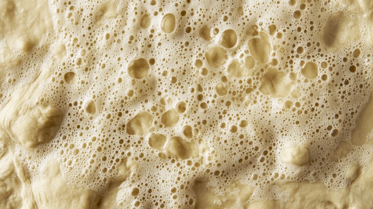 What Does Foaming Yeast Look Like