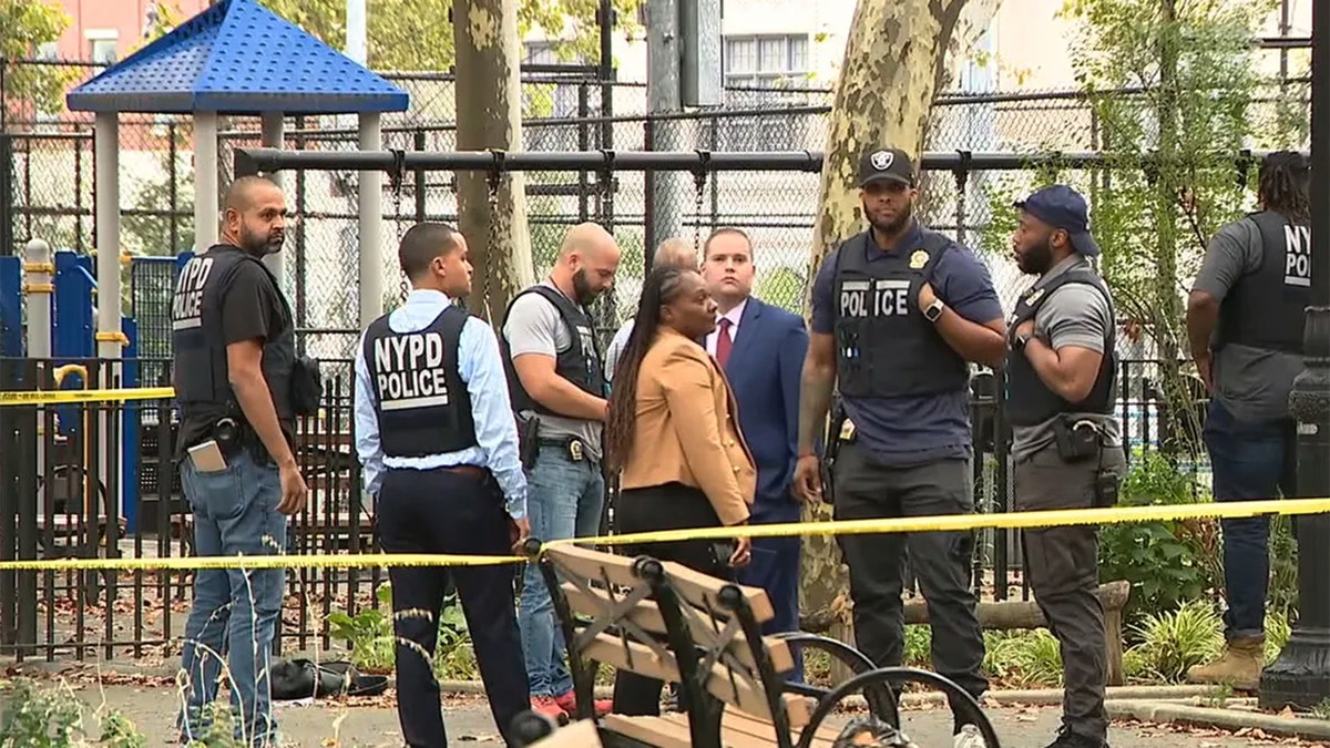 Police Search for Suspect After Young Boy Taken in Park