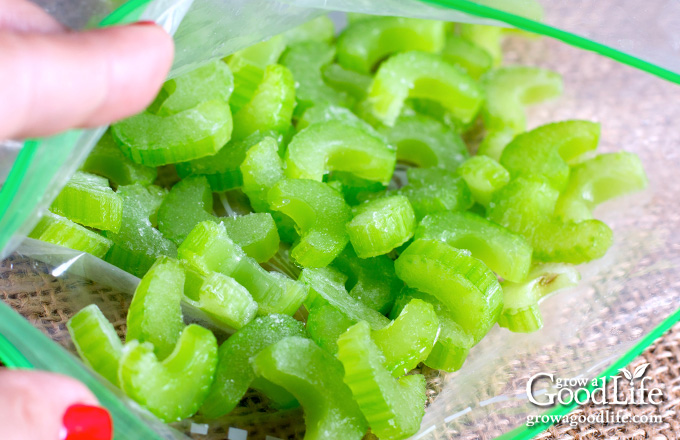 How to Freeze Celery