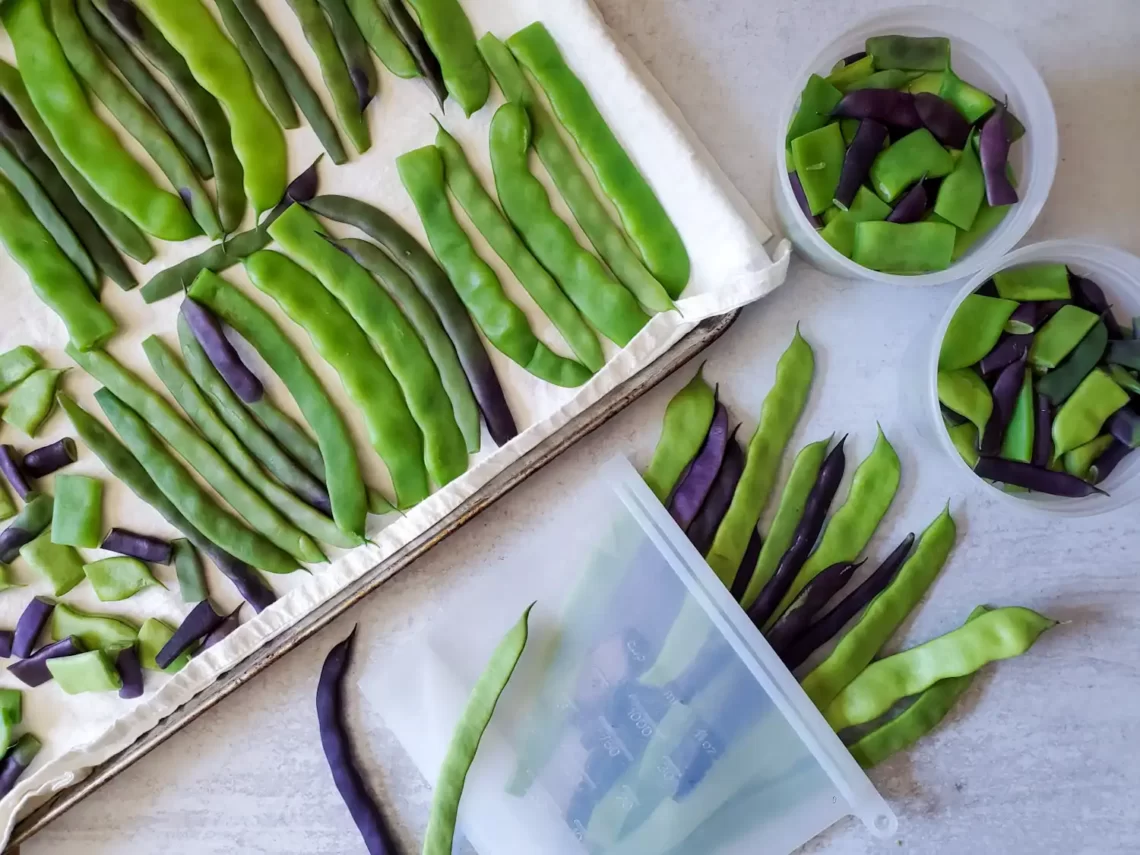 Freeze Green Beans Without Blanching