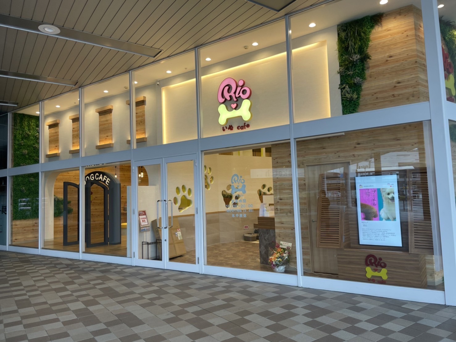福岡の犬カフェ徹底比較！触れ合い穴場と愛犬同伴人気店の真実