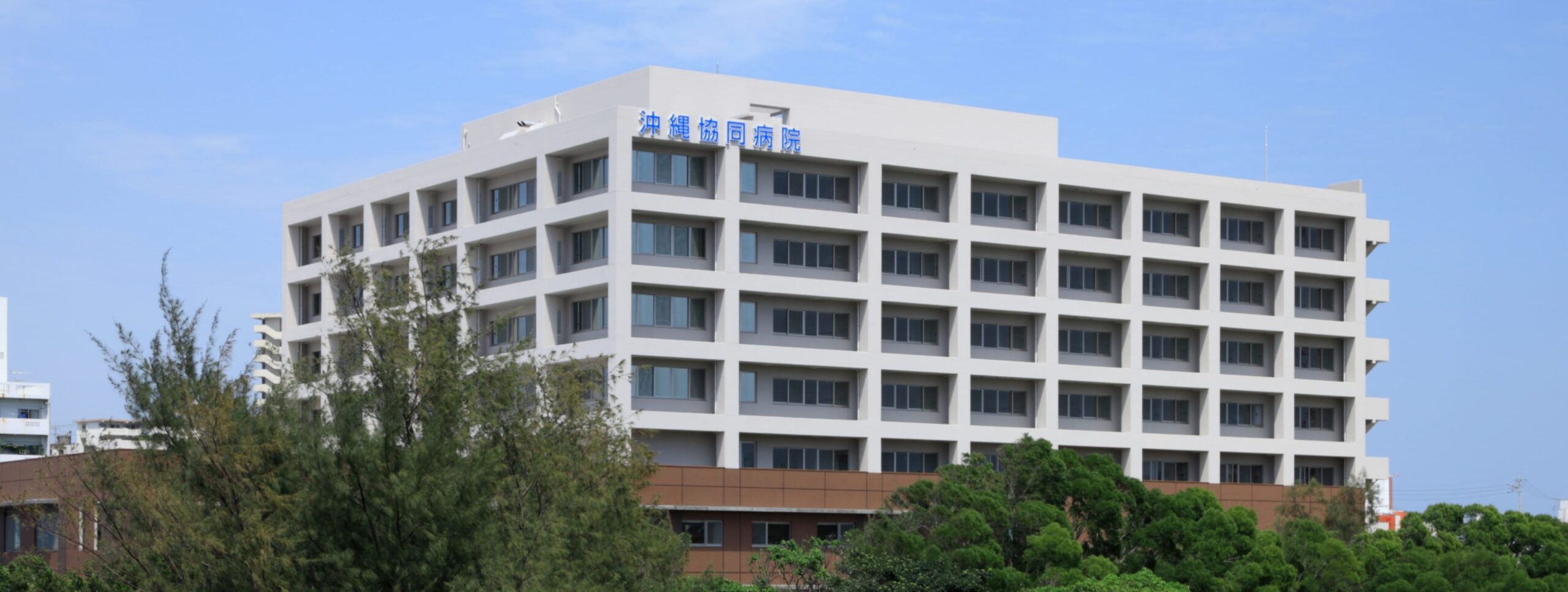 沖縄協同病院の評判・待ち時間の実態は？面会制限や受診の注意点を総まとめ