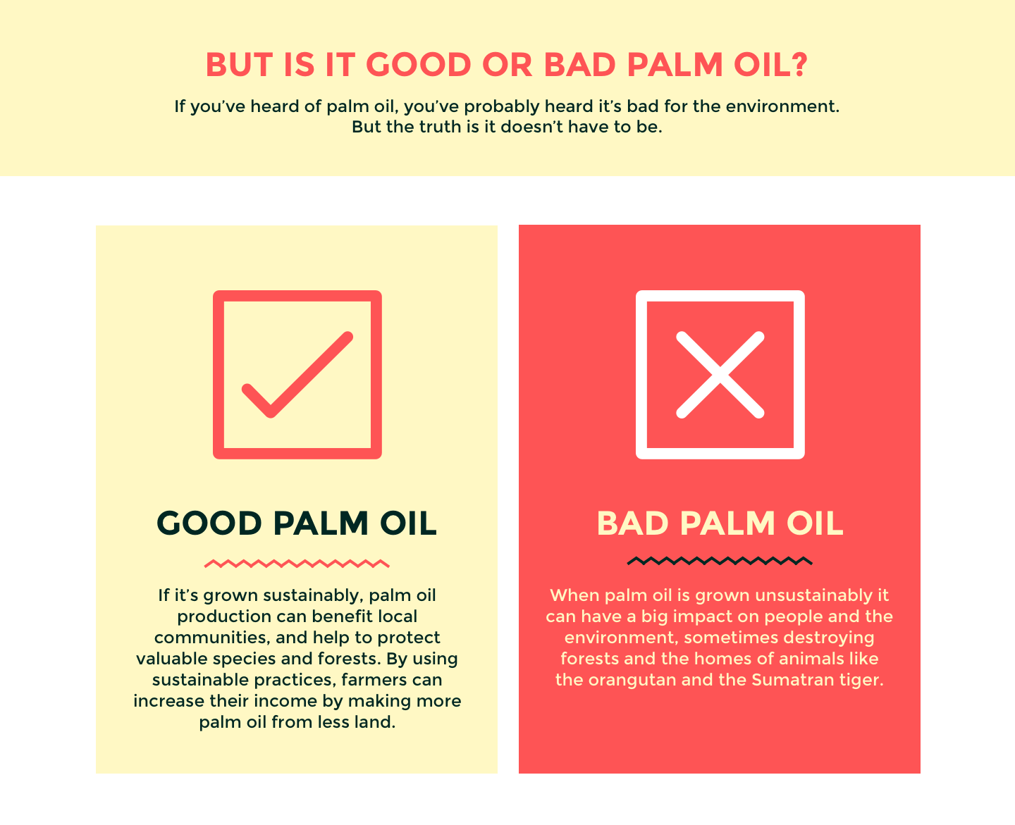 Palm Fruit Oil Good or Bad