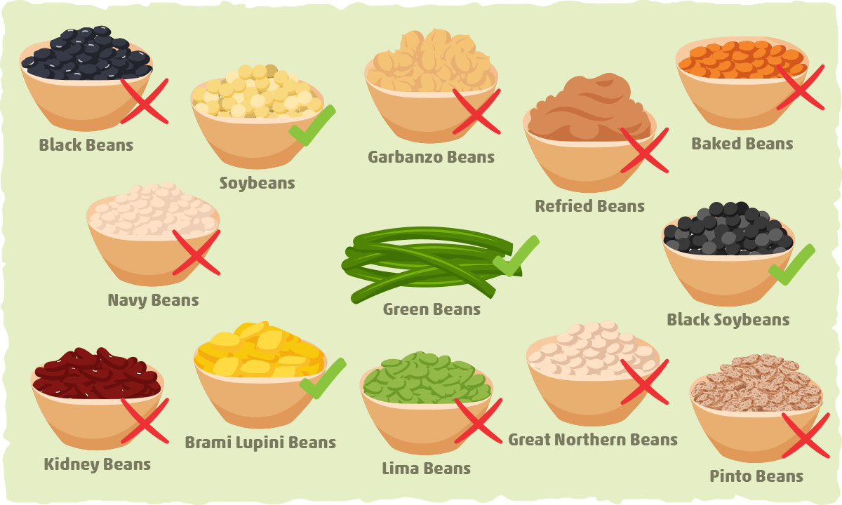 Is Beans a Carb