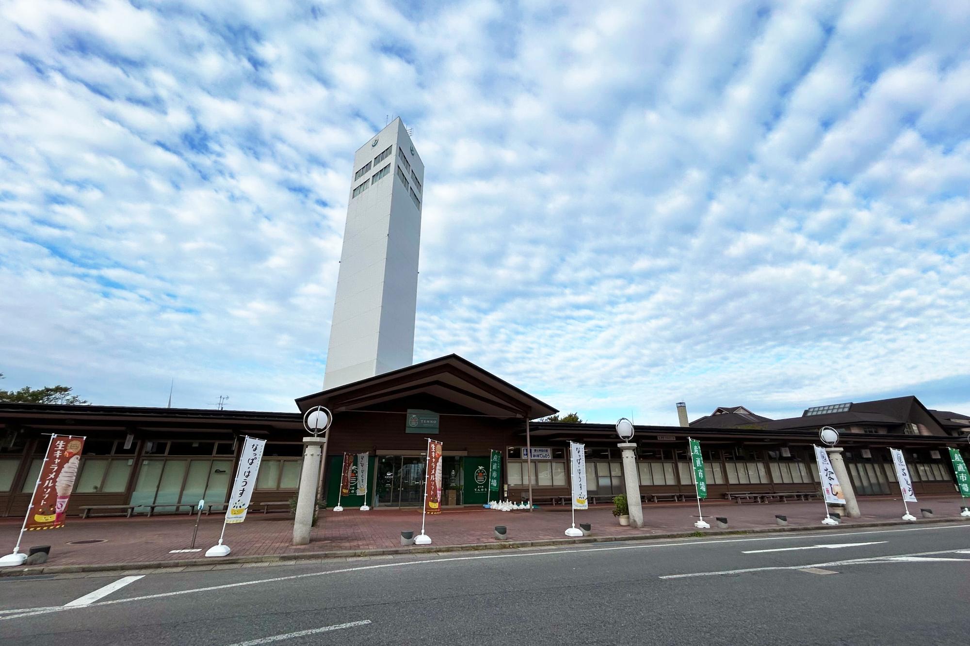天王グリーンランド徹底攻略｜温泉・タワー・グルメの魅力と混雑の真相