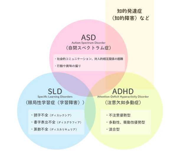 仕事が覚えられないのは発達障害？脳の特性とミスを減らす工夫【2026】