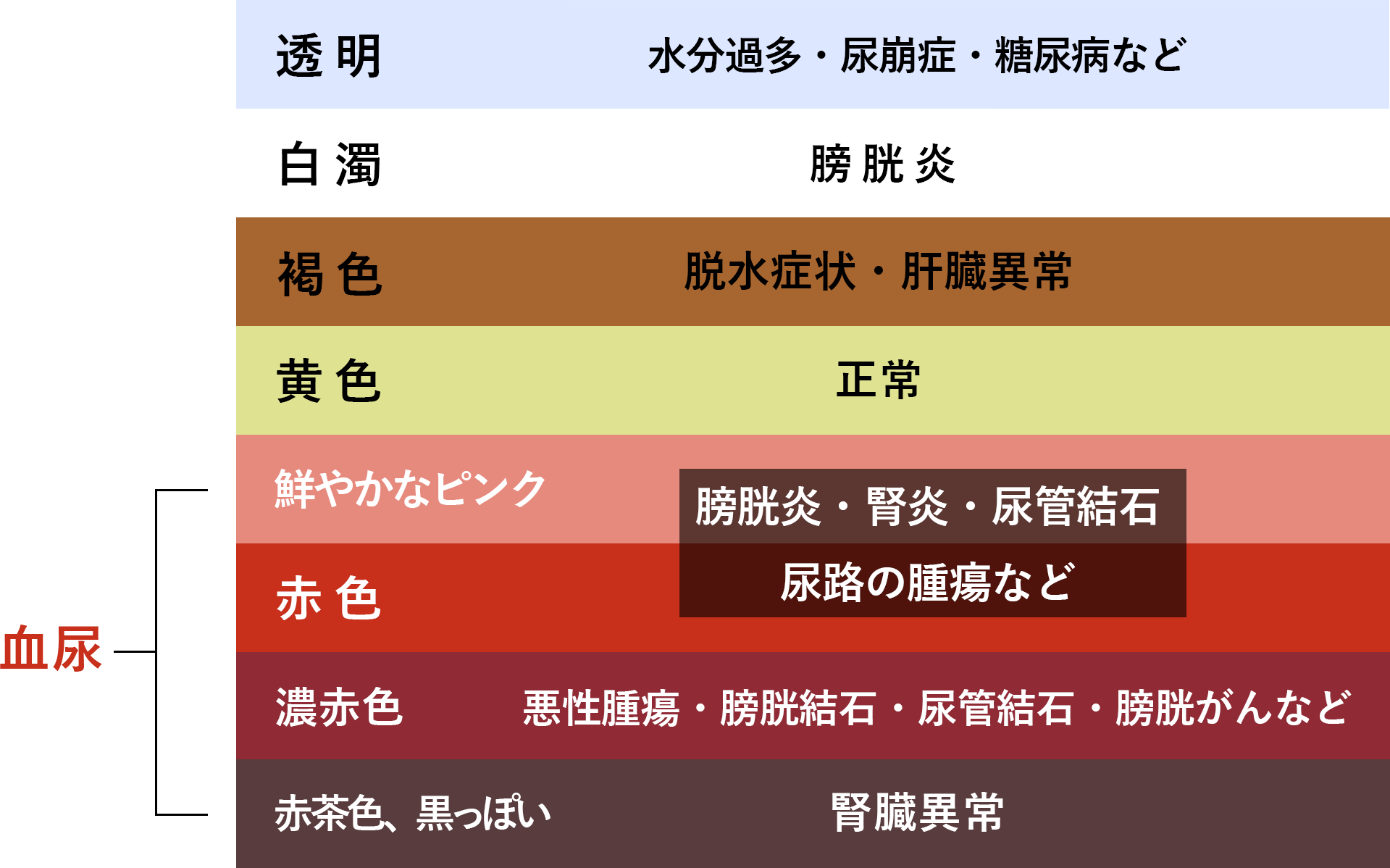 女性の痛くない血尿を放置してはいけない理由と何科に行くべきかの正解