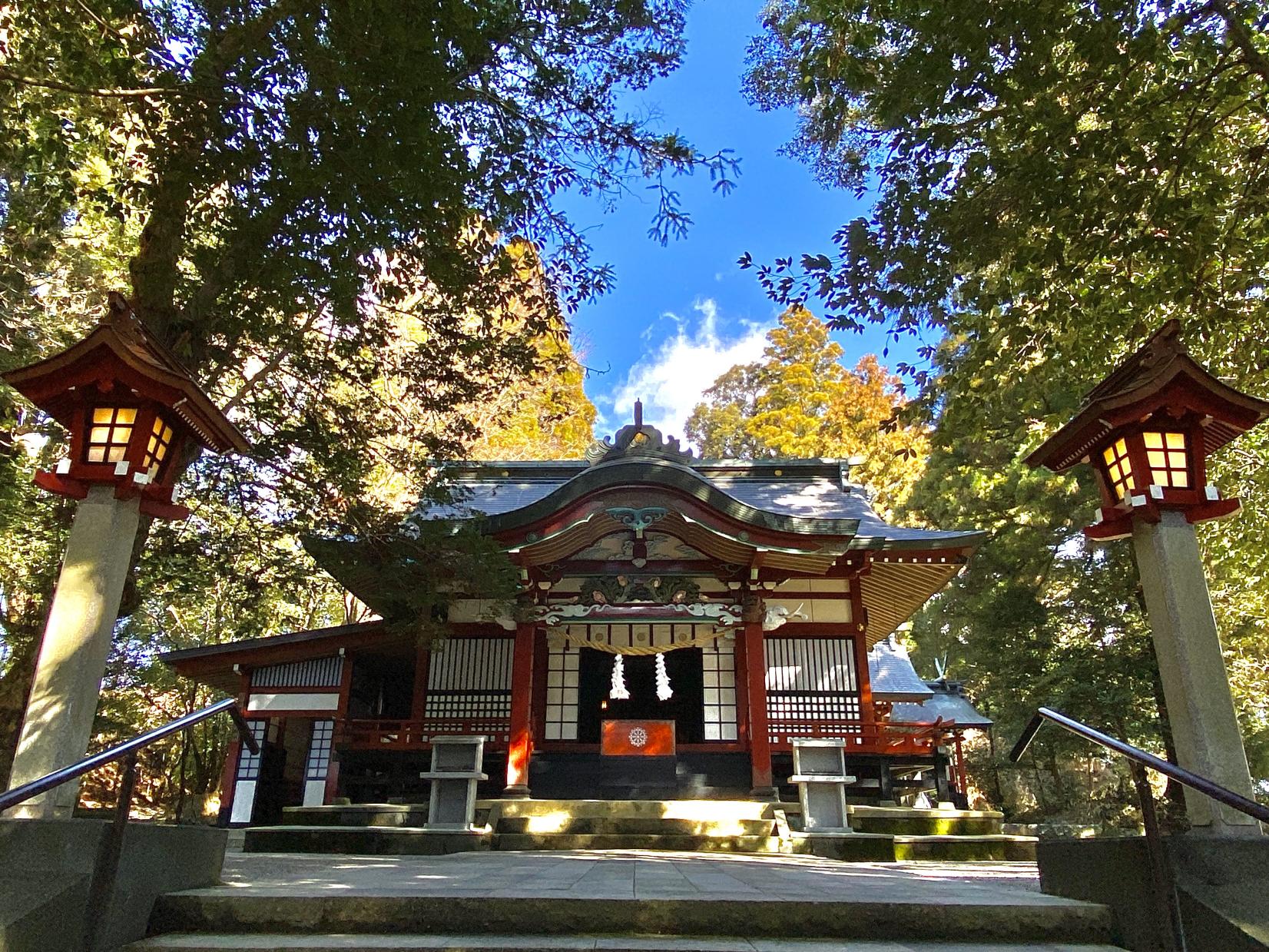 霧島東神社の不思議体験と怖い噂の真相！龍神伝説と2026年参拝ガイド