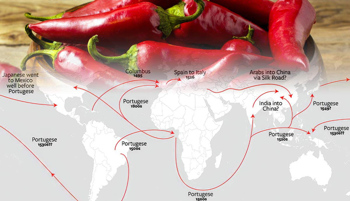 Where Did Chilli Come From