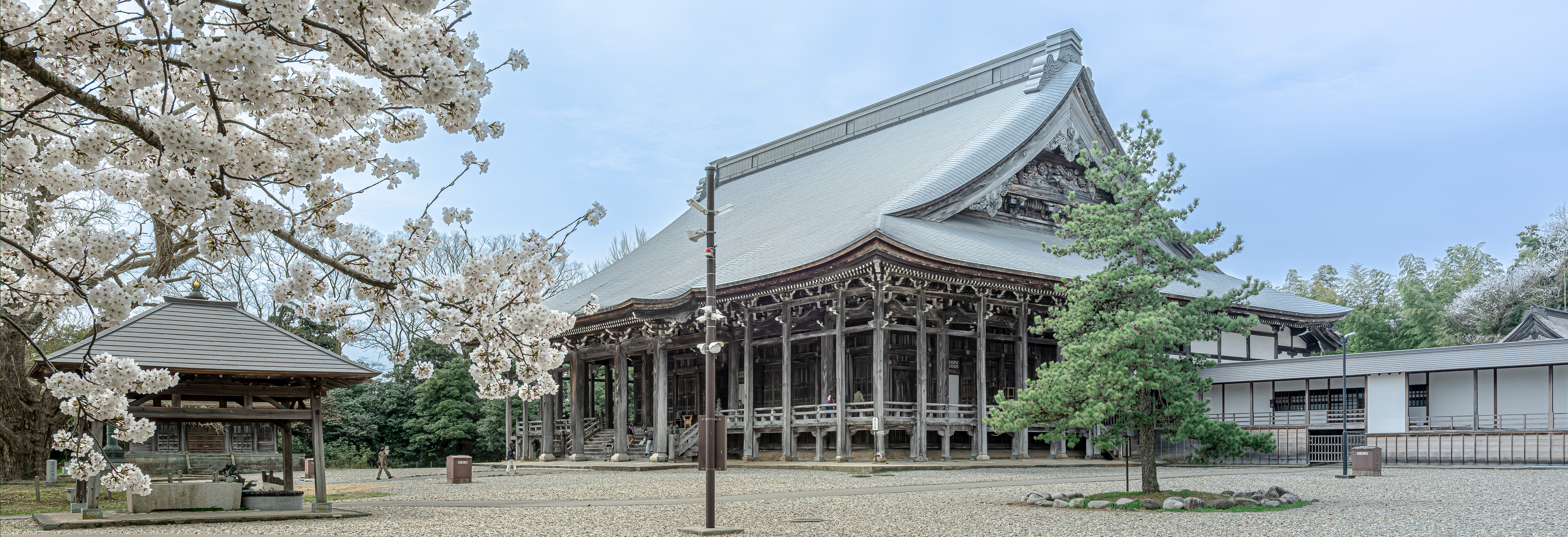 国宝・勝興寺の謎と見どころ徹底解剖！平成の大修理から七不思議まで