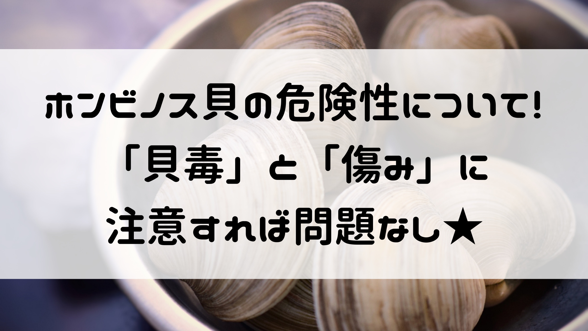 ホンビノス貝は危険？毒性や東京湾産のリスクと食中毒の真相を徹底検証