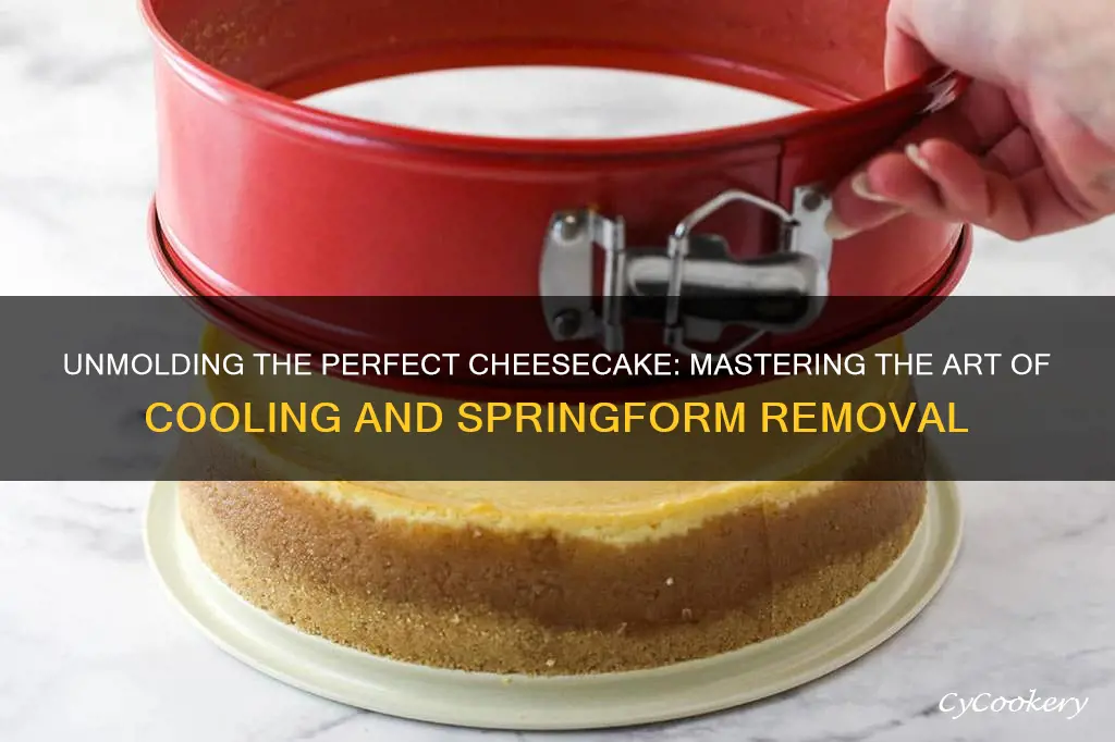 How Long to Cool Cheesecake After Baking