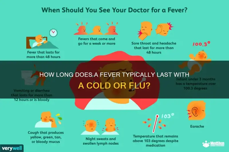How Long Should a Fever Last with the Flu
