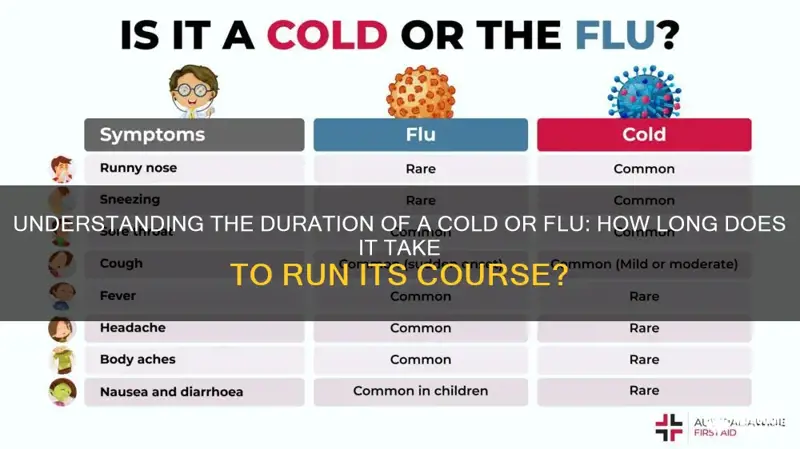 How Long Does the Flu Take to Pass