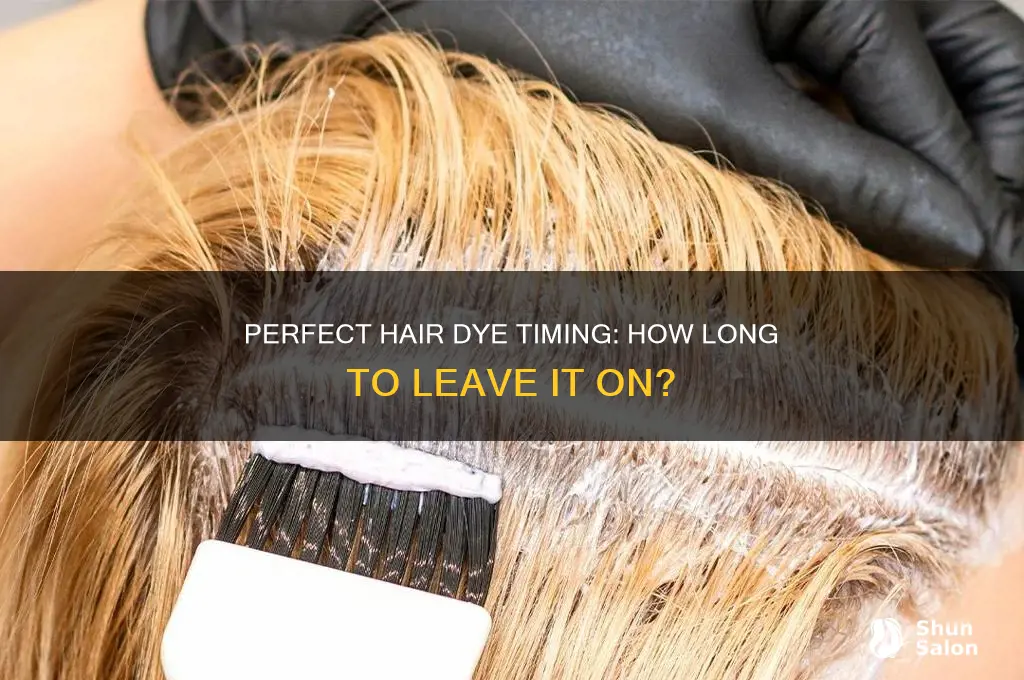 How Long Should I Leave My Hair Dye In