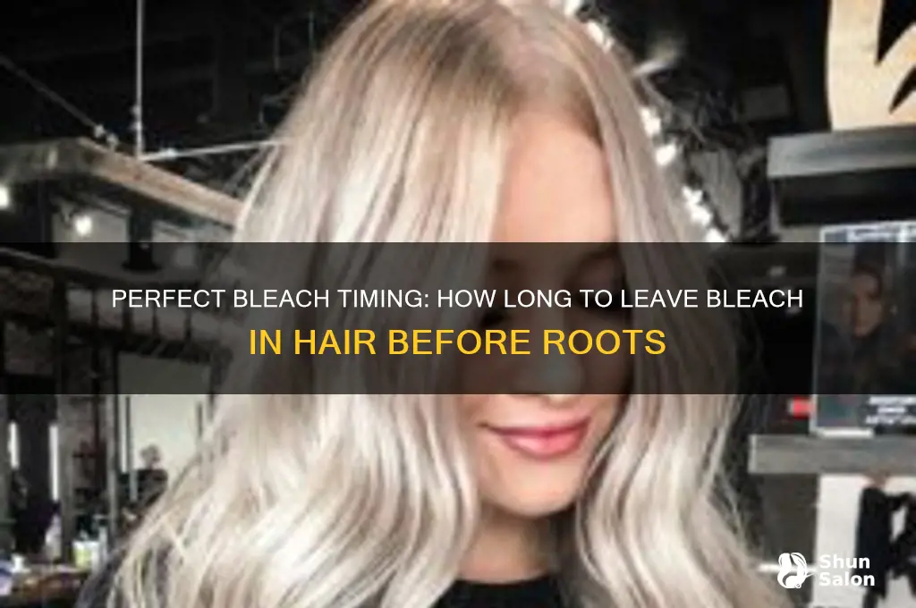 How Long to Leave Bleach on Roots