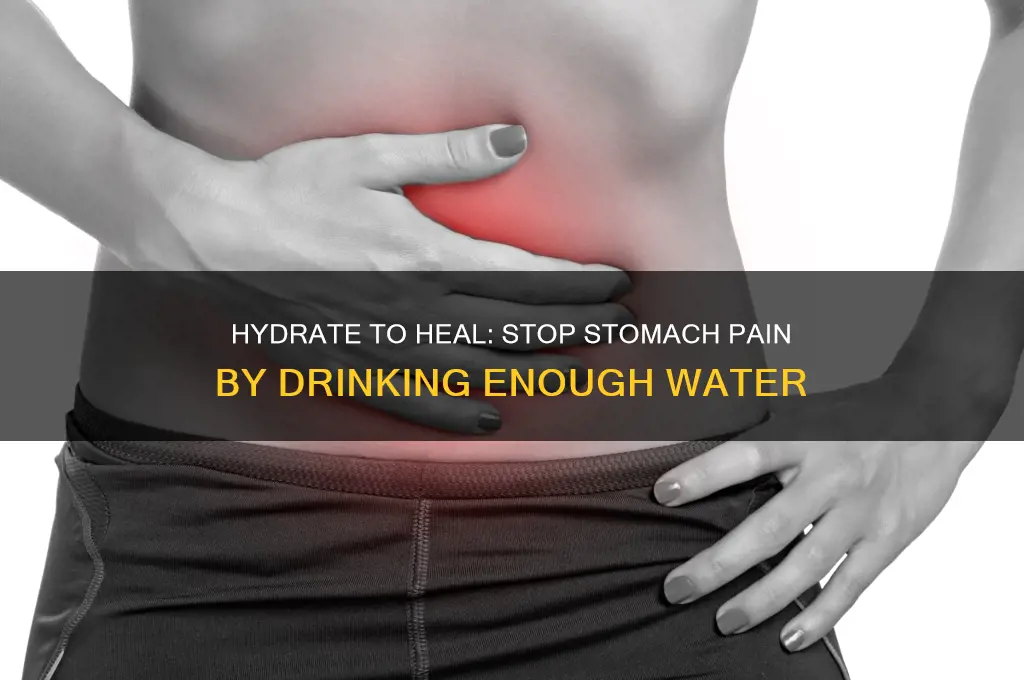 Can Not Drinking Water Cause Stomach Pain