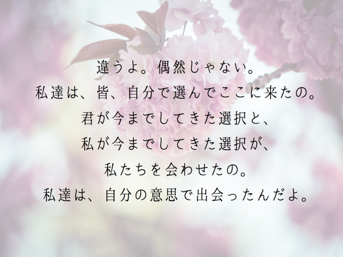 『君の膵臓をたべたい』名言の真意と桜良の最後の言葉に涙する理由