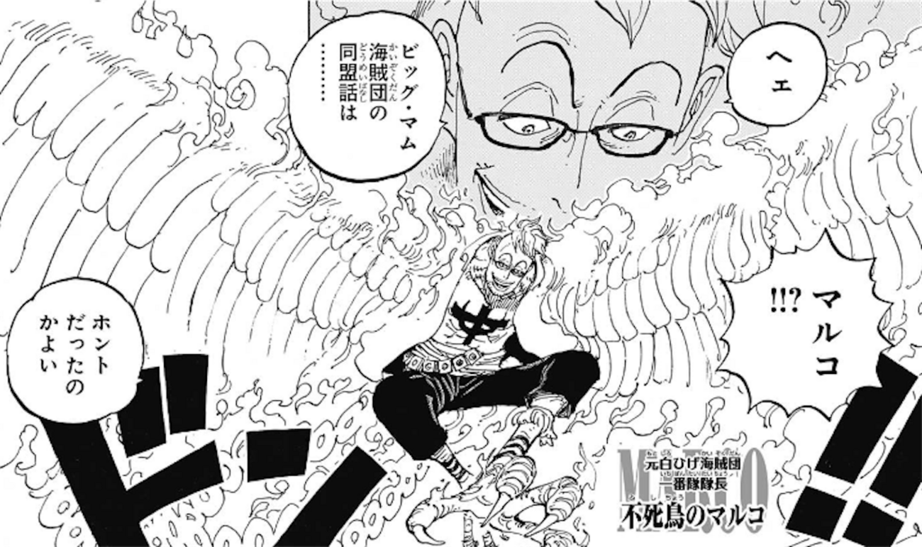 ワンピース不死鳥マルコの現在と懸賞金！ワノ国後の動向と最終章を解説