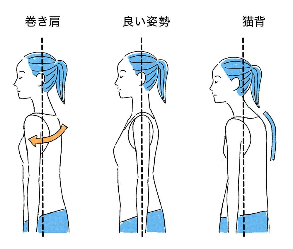 なぜ治らない？巻き肩の真因と1分で劇的に変わる最新改善メソッド