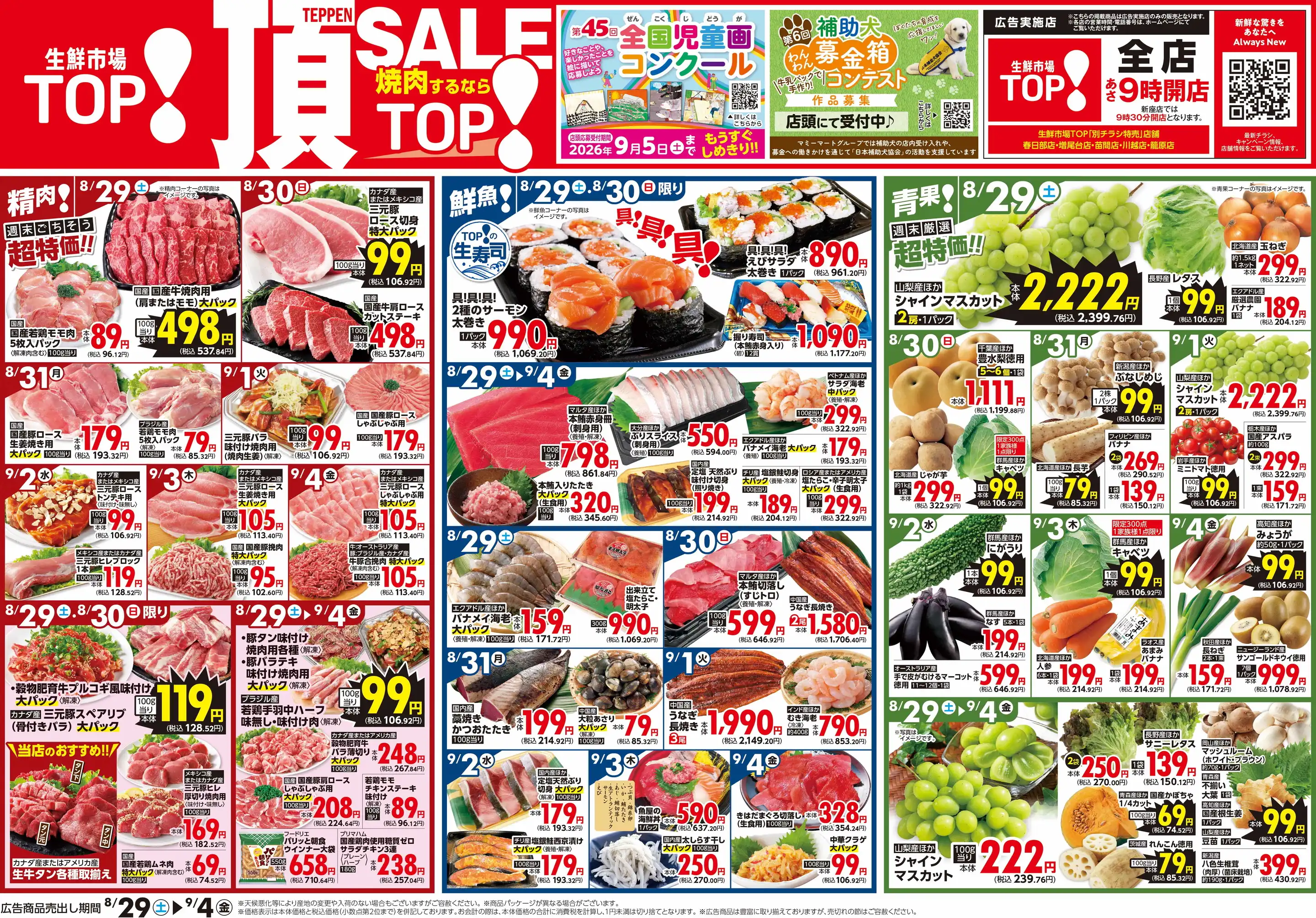 ビッグハウスの最新チラシ活用術！特売日とお買い得攻略ガイド