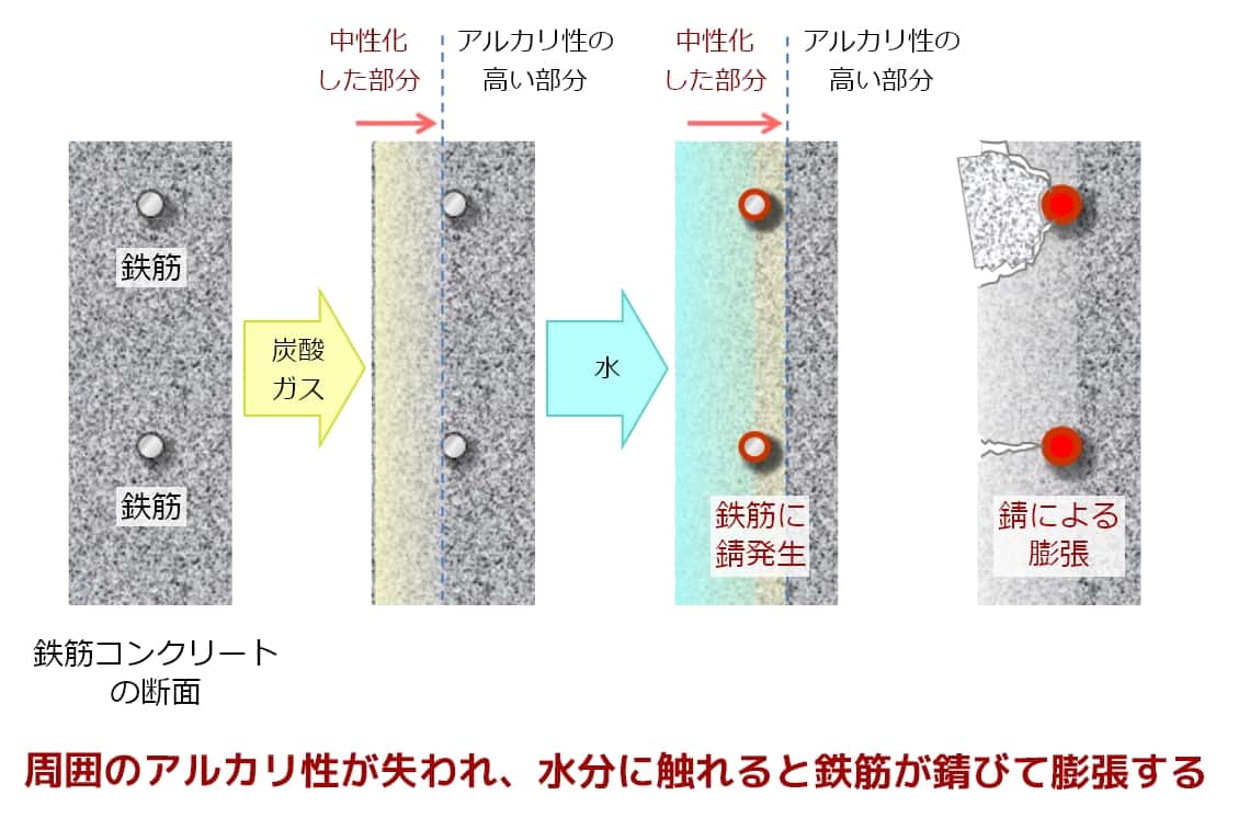 ハートの葉っぱの観葉植物おすすめ10選！風水効果と枯らさない育て方