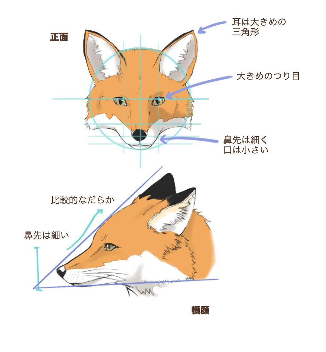 ジェクサー大井町の評判と真相！サウナ・混雑・料金を徹底解剖【2026】