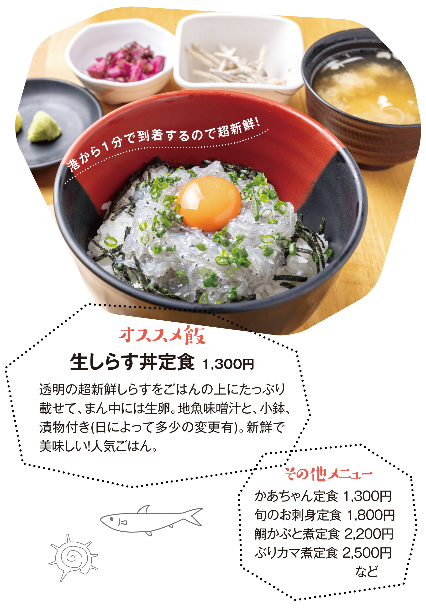 大洗かあちゃんの店の真相！名物生しらす丼と混雑回避完全ガイド