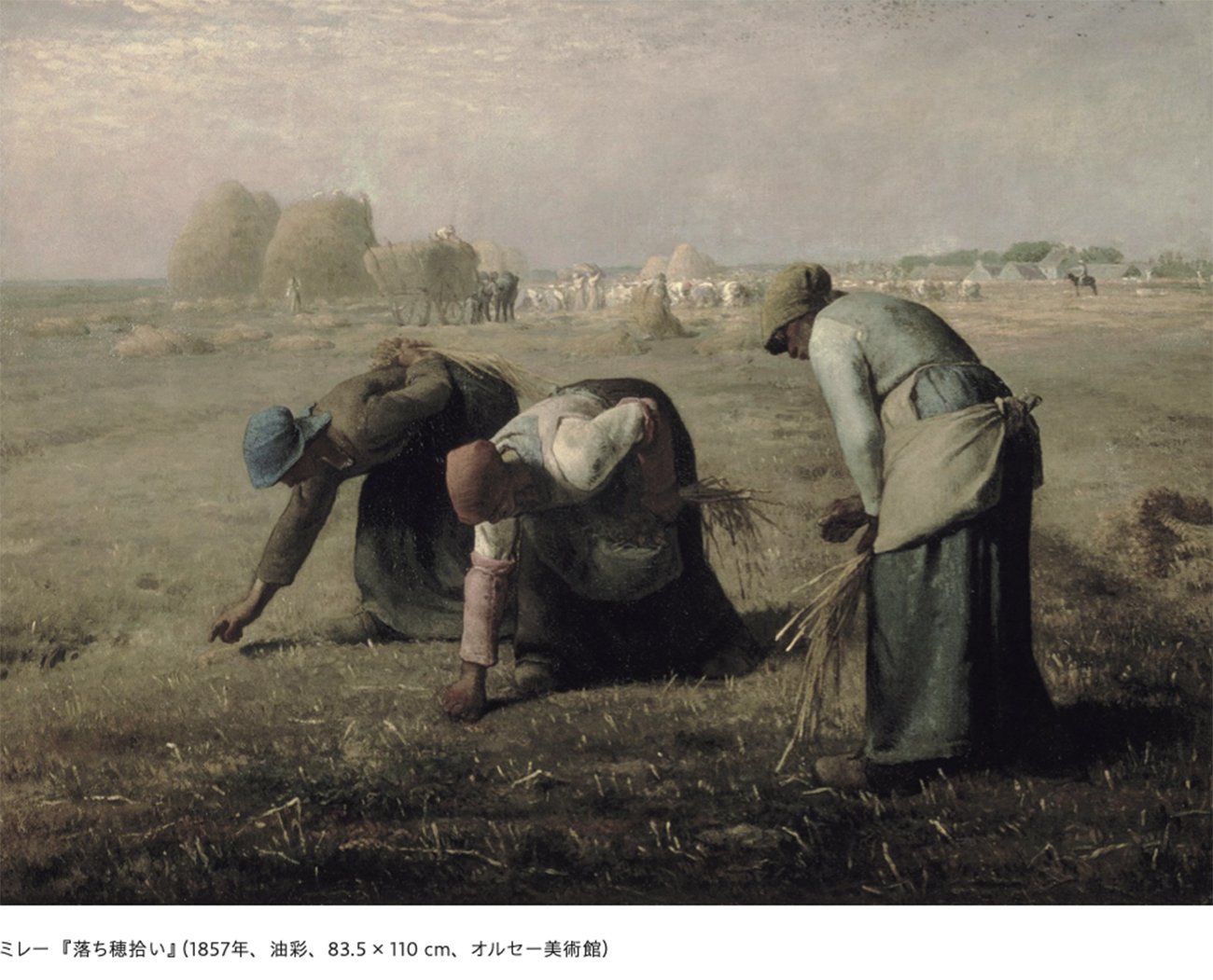 ミレー『落穂拾い』なぜ大批判？名画に潜む格差社会と真のメッセージ