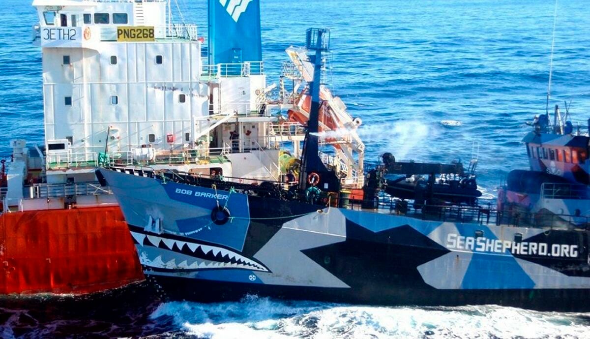過激派シーシェパードの現在と壊滅理由｜ポール・ワトソン逮捕の真相