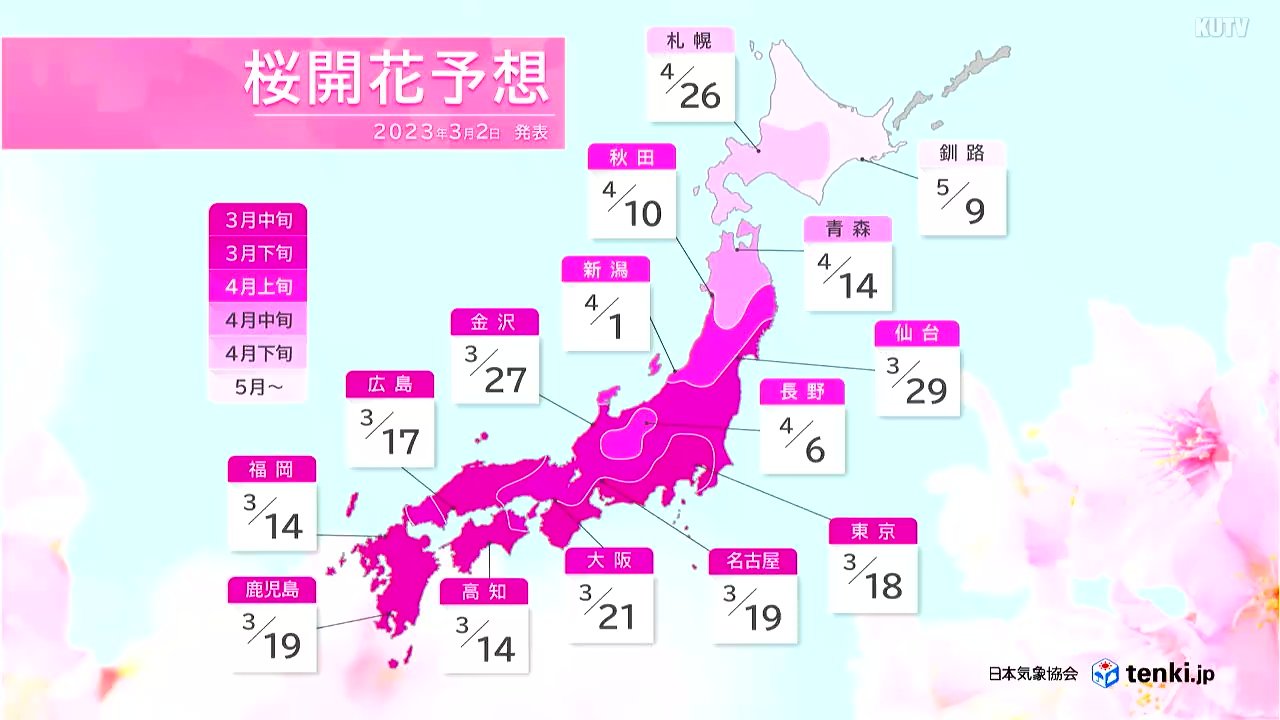 【2026年最新】大阪の桜開花予想と満開日！名所の見頃と穴場を徹底解説