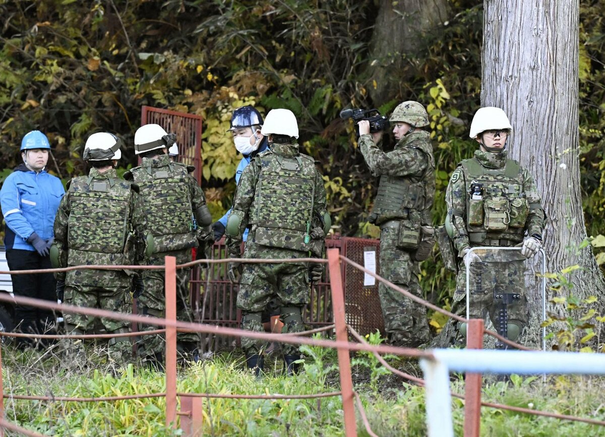 熊被害になぜ自衛隊は出動不可？法の壁と駆除の真相【2026最新】